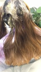 -BM SALON