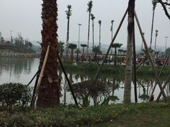 -枫香湖儿童公园