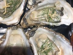 -烧蠔帮·生蚝海鲜牌档(观海店)