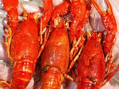 -霸王虾(湘江世纪城店)