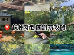 -杭州动物园