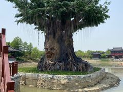 -董永七仙女文化园