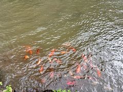 -刘伯温故里景区百丈漈