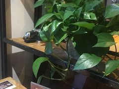 -瑞伯克牛排自助餐厅天一广场店