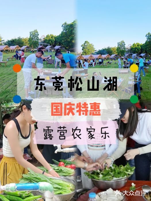松山湖南湖湾露营营地图片