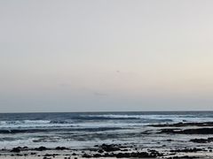 -企鹅岛