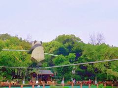 -成都市活水公园