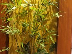 -千枝花·按摩·美容·经络SPA(建旺大厦店)