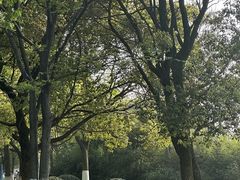 -艾溪湖湿地公园
