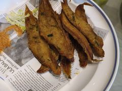 -老平安农家菜(平安店)