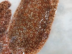 -鸿港海鲜批发市场