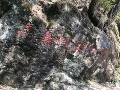 -东天目山风景区