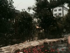 -观唐（国际）度假村温泉