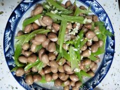 -爱月宝月嫂·育儿嫂(哈尔滨总店)