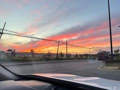 -北纬44度·金珠花海休闲农业旅游景区