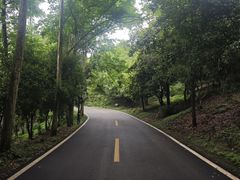 -潜山国家森林公园