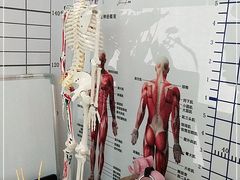 -杏林康桥中医正骨·体态矫正·跌打损伤·推拿按摩(国贸建外SOHO店)