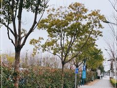 -奕欧来上海购物村停车场