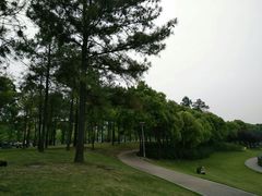-美兰湖景区