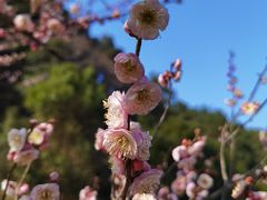 -仙岛湖旅游风景区