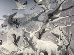 -中国湿地博物馆