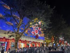 -越秀西湖花市(广州城市广场花卉店)