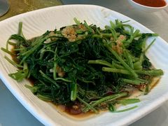 时蔬空心菜-仁西海鲜酒楼(振东店)