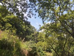 -大围山峡谷漂流