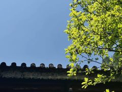 -苍山世界地质公园·石门关大峡谷