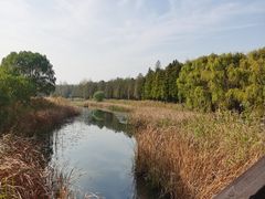 -苏州太湖湖滨国家湿地公园
