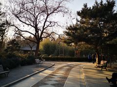 -团结湖公园