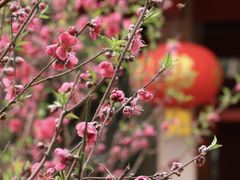 -桃花涧