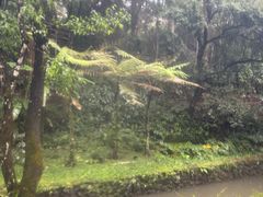 -黄瓜箐温泉疗养院