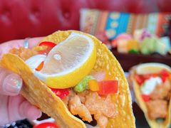 -Famous肥猫墨西哥音乐餐吧(五棵松华熙LIVE店)