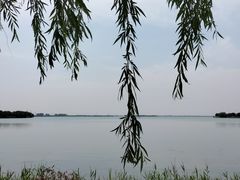 -漕湖湿地公园