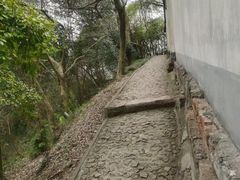 -上海佘山国家森林公园天马山园