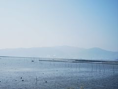 -舌尖上·霞浦滩涂海鲜·新闽菜(总店)