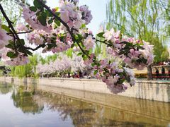 -海棠花溪(元大都城垣遗址公园)