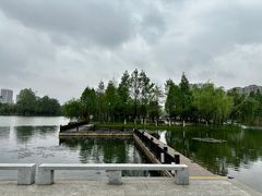 -洋湖国家湿地公园
