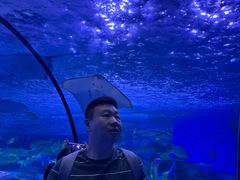 -泉城欧乐堡海洋极地世界