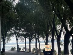 -丁香湖公园