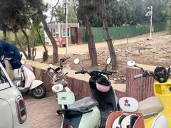 -养马岛旅游度假区