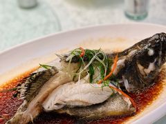 清蒸龙胆鱼-华兴大酒楼(亿宝大厦店)