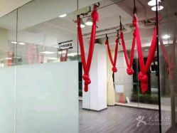 -榕树上·瑜伽普拉提