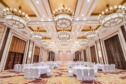 -天泰一站式婚宴·宴会厅