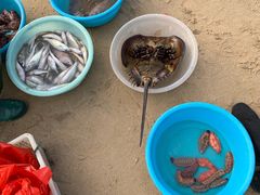 -演武大桥观景平台