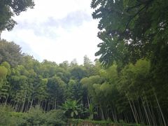 -上海市保健医疗中心