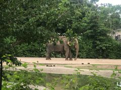 -清迈夜间动物园