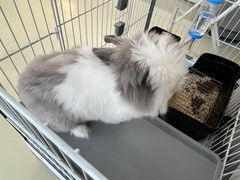 -小意思咖啡店(草桥店)