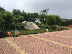 -大港湿地公园